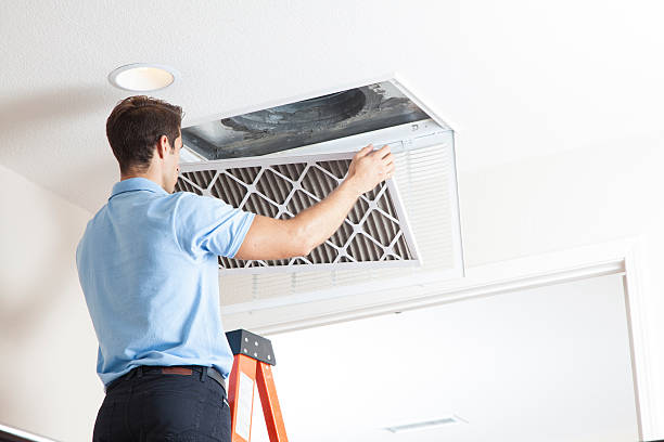 Best Air Filters and Purifiers in White Horse, NJ